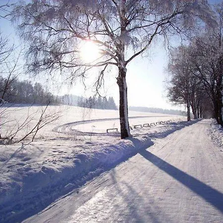 Holiday Home Petra R Villa Frymburk